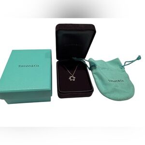Tiffany & Co. Star of David Pendant and Necklace in Sterling Silver